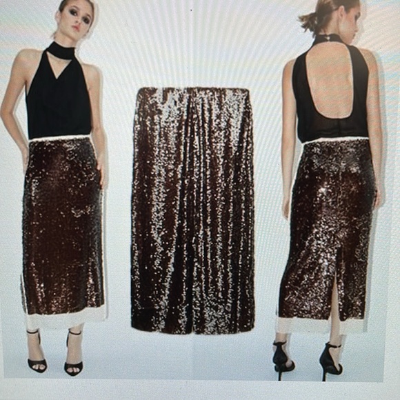 Zara sequin silk trim midi skirt - Picture 3 of 8